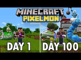 A copy of minecraft and the ip address of the server you wish to play. 5 Best Minecraft Pixelmon Servers