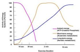 Carbohydrates perform numerous roles in living organisms. Fuel Sources Human Nutrition