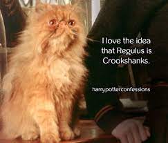 I Love The Idea That Regulus Is Crookshanks Harry Potter Harry Potter Fan Art Crookshanks
