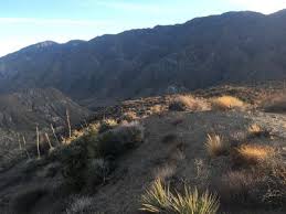 All maps (area, trail, route) include your current position, very useful when navigating in the field in an unfamiliar area. Cactus Spring Trail Hiking Trail Rancho Mirage California