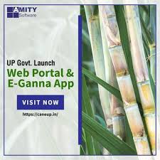 Web Portal By Amity For Up Govt Erp System Up Government Amity