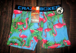 Mens Crazy Boxer Flamingo Tropical Boxer Brief Size M