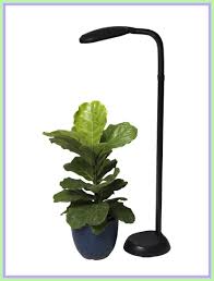 100 Reference Of Led Light Bulb For Indoor Plants Plant Lighting Grow Light Bulbs Grow Lights