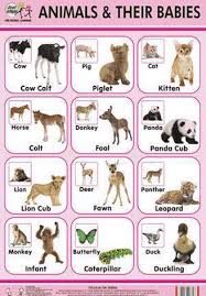 English Vocabulary English Vocabulary Baby Chart Kids English