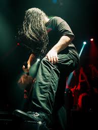 Image result for Wolffiella