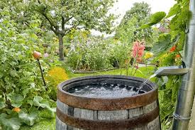 How To Ensure Your Rain Barrel Has Enough Water Pressure Mother Earth News