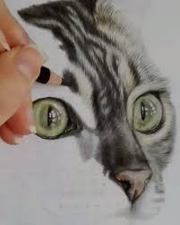 Kedi Cizimi Kuru Boya Boyama In 2020 Realistic Animal Drawings Art Drawings Simple Animal Drawings