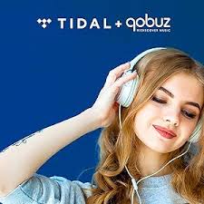 HiBy R3 Pro Saber 2022 Hi Res Mp3 Player with Bluetooth and WiFi, HiFi  Digital Audio Player, Portable Streaming Music Player with Touch  Screen/2.5mm ...