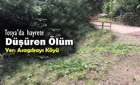Kastamonu içerikleri, son dakika haberleri ve daha fazlası haber7'de. Tosya Da Hayrete Dusuren Olum Tosya Haberleri Com En Guncel Tosya Haberleri