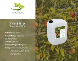 Image result for Ximenia afra