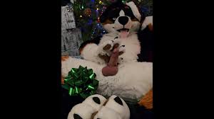 Bad Dog fucks his paws and jerks off under the Christmas Tree