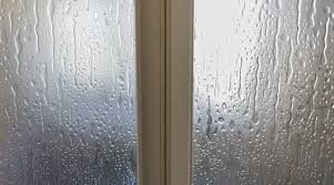 Everyone has most people have seen a random scuff on their wall at eraser tools that are used for wall cleaning look a lot like a sponge. Water Marks On Your Walls Mr Clean