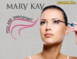 Mary Kay Plans Book