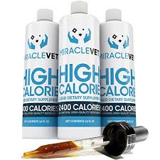 10 tips to help a cat gain weight safely. The Best Cat Weight Gain Supplements Of 2021 Pet Life Today