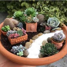 Magical Diy Succulent Fairy Garden Ideas Mini Zen Garden Dish Garden