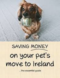 We did not find results for: 13 Moving Your Pet To Ireland Ideas Ireland Ellicott City Ireland Travel