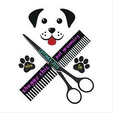 Not sure if you all know, but the northern lights are out there right now.  You can see with your eye, but they look really good through your camera ￼ 