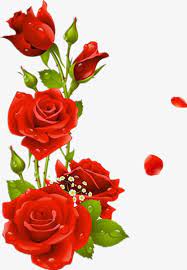 Millions Of Png Images Backgrounds And Vectors For Free Download Pngtree Flower Backgrounds Red Roses Photoshop Backgrounds Free