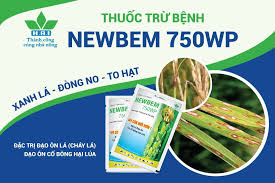 Newbem 750WP