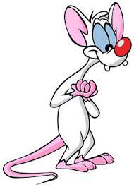 Pinky And The Brain Wikiwand Cartoon Character Tattoos Animaniacs Classic Cartoon Characters