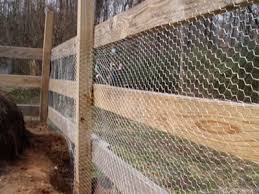 All because a stupid plonker in victoria wanted a bit of sport in 1859 and nearly destroyed the continent ! Galvanized Pvc Rabbit Fences Feed Or Defense Rabbit