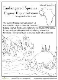 Endangered Species Pygmy Hippo Worksheet Education Com Endangered Animals Activities Endangered Species Activities Endangered Species