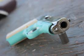 This kimber micro.380 model has a caliber of.380 acp. Kimber Micro Bel Air Review Gunsamerica Digest