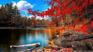 More images for full size 3d wallpaper for desktop » Desktop Wallpapers Hd 3d Full Screen Nature Desktop Background