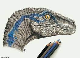 For boys and girls, kids and adults, teenagers and toddlers, preschoolers and older kids at school. Blue The Intellegent Velociraptor Prehistoriccreatures Blue The Intellegent Velociraptor Dinosaur Art Blue Jurassic World Dinosaur Drawing
