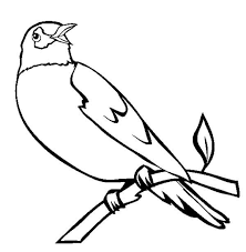 Printable coloring page bird pusat hobi. Robin Bird Singing In The Morning Coloring Page Color Luna