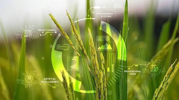 Foto: Irán prepara un sistema para determinar cuánta agua puede utilizar cada agricultor/Cortesía