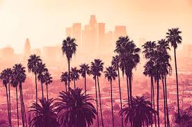 Maybe you would like to learn more about one of these? History Los Angeles County Palm Trees In Los Angeles
