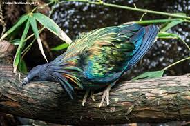 Birds On The Bat Twitter Sabah Ibrahim On Sabah Up To The Sky Inspirational Cards