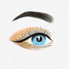 Maybe you would like to learn more about one of these? Hand Painted European And American Style Eyelashes Eyelash Clipart Eyelash Eye Png Transparent Clipart Image And Psd File For Free Download