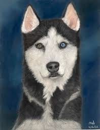 Just finished this canvas with huskies