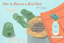 Some birds, such as robins, will abandon a nest that is simply discovered. When Is Removing Birds Nests Okay