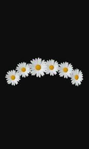 Pin By Vhpl Yxx On Pngs Overlays Picsart Overlays Overlays Tumblr