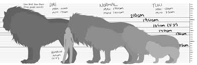 General Dire Wolf Size Chart In 2019 Dire Wolf Size Dire