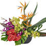 Bali Tropical Florist from flowermartflorist.com