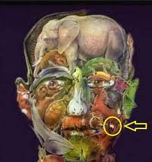 The test of the head is to find a camel. Fact Check No A Camel In An Image Can Not Help In Diagnosing Alzheimer S Vishvas News