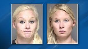 A woman has been sentenced to four years in prison for her role in a deadly  crash involving an Amish buggy that resulted in the deaths of two children  and for attempting