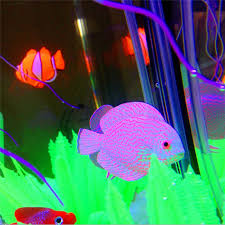Made with ocean & grapefruit scented liquid hand soap, skin safe colorants & skin safe luminescent crystals! Decor Goldfisch Quallen Aquarium Dekoration Kunstliche Glowing Effekt Glow In The Dark Aquarium Ornament Silikon Pet Geschenk Aliexpress