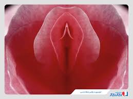 پرده بکارت چیست؟ + پاسخ به سوالات درباره انواع هایمن (تایید شده توسط پزشک)