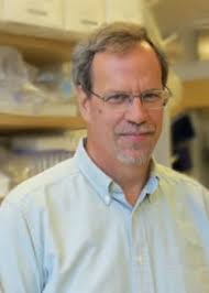 COBRE in Acute Care Research & Rural Disparities