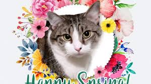 Happy first day of spring. Happy First Day Of Spring Happy Vernal Equinox Lucky Ferals