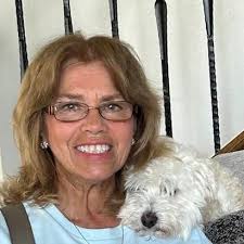 Shows similar to Breaking Bad and Sopranos?