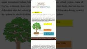 Materi ushul fiqih kelas 12. Materi Kelas 12 Kosep Ushul Fiqih Kelas Xii Ma Reguler Youtube