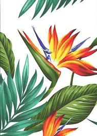 Birds Of Prey Flower Tropical Hawaiian Bird Of Paradise Flowers And Leafy Palm Fronds Cotton Poplin Apparel Fabric More Fabrics At B Flores Pintadas Arte Tropical Flores Tropicales