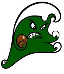 Image result for tulane green wave