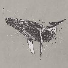 Over 2,020 humpback whale pictures to choose from, with no signup needed. Humpback Whale Drawing Ai Illustrator File Us 5 00 Each Ai Png File